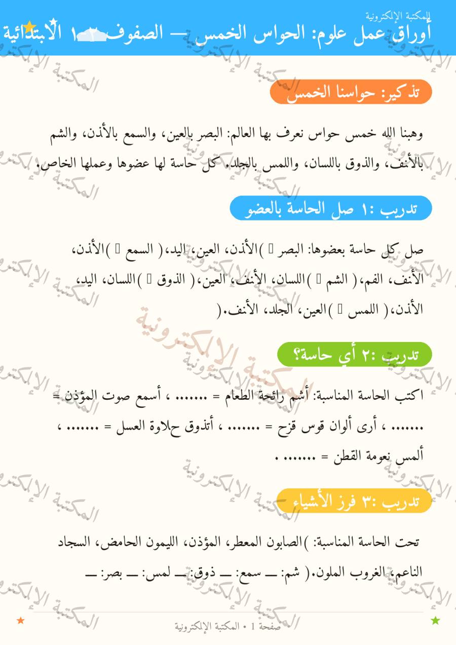 صفحة 2
